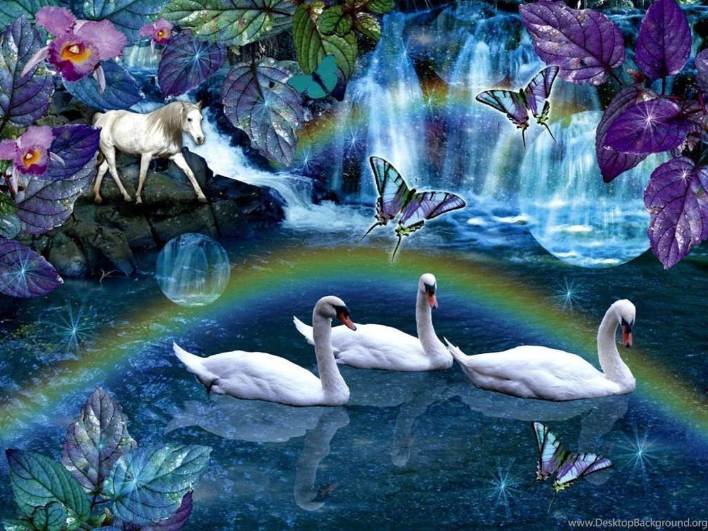 Swan Daydream Daydreaming Wallpapers (20099204) Fanpop