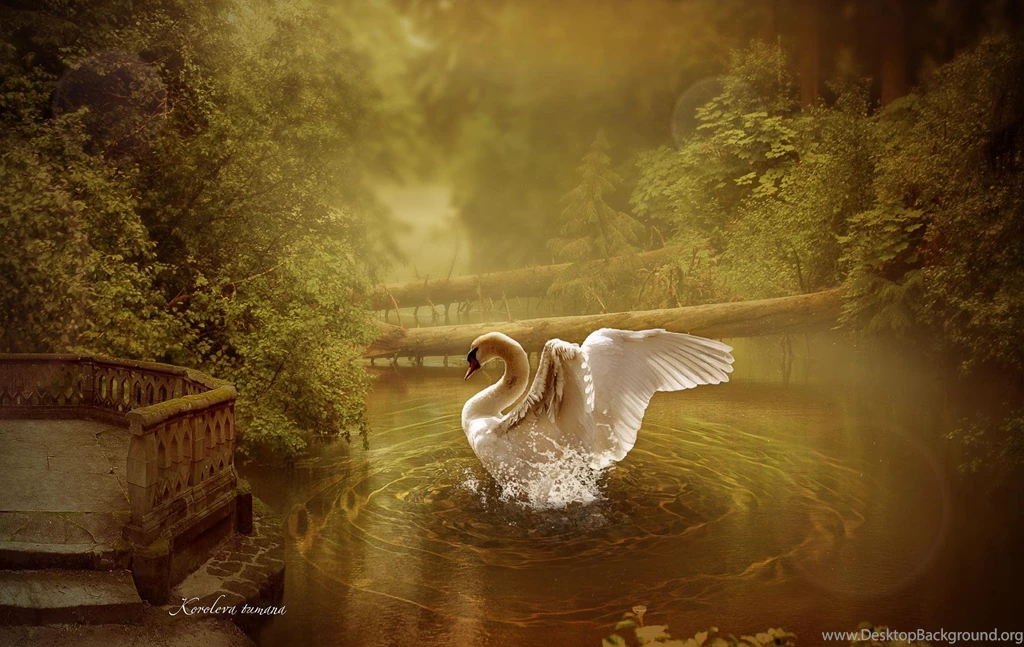 WHITE SWAN WALLPAPER (