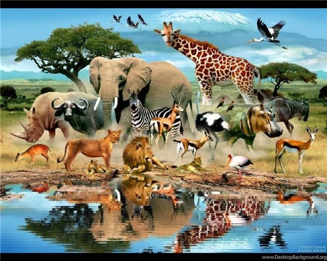 Download Laptop Animation Lion Wallpapers 3d Hd Pictures.