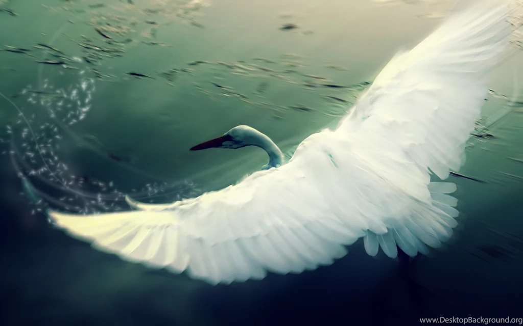 Fantasy Swan