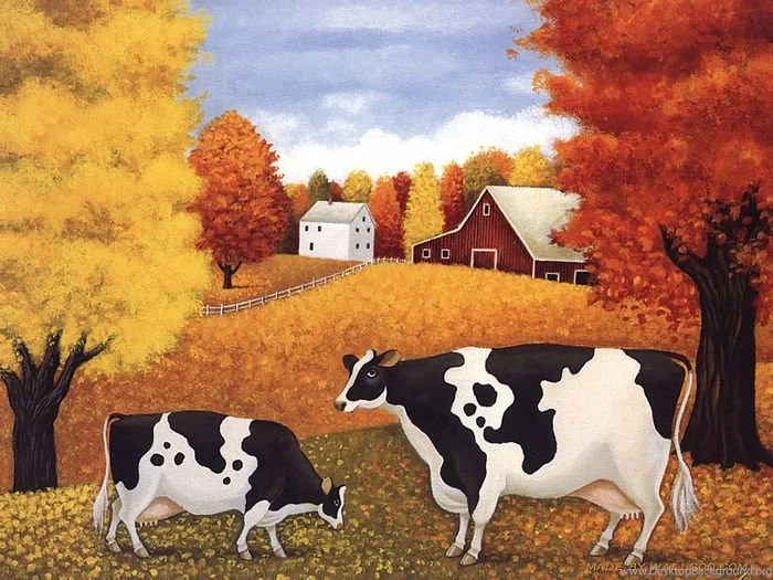 Lowell Herrero Cows Cows Cows Wallpapers Wallcoo.net