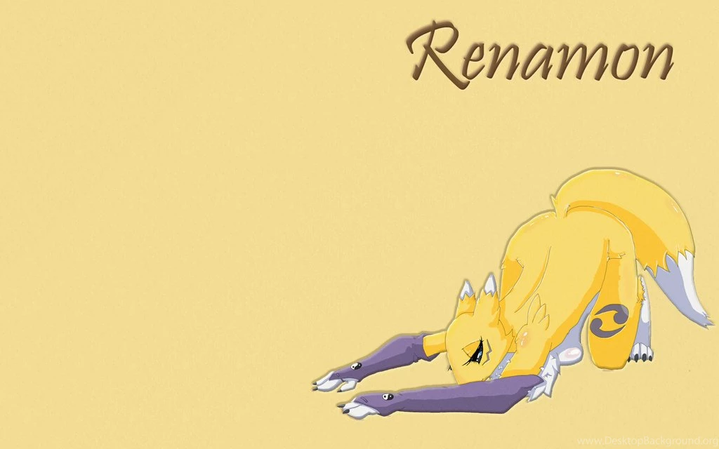 Renamon Wallpapers By Kasine On DeviantArt