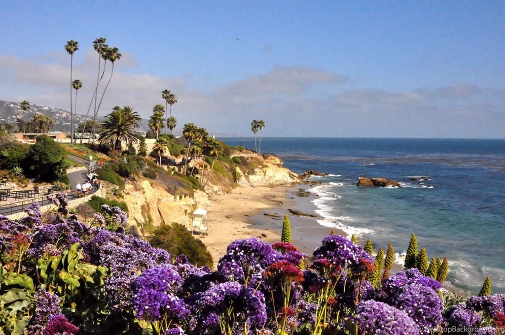 The Beach : Virginia Beach