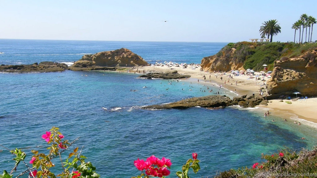 A9CDE7 Color Wallpapers: Laguna Beach CA Flowers Sand Ocean ...