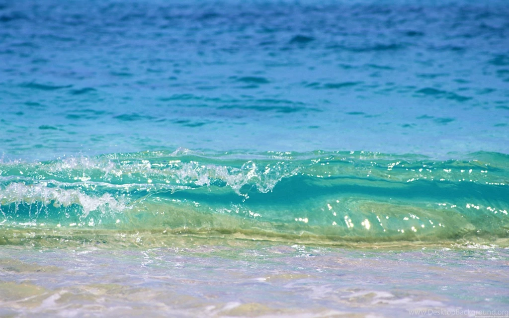 Sea Laguna Beach Wallpapers Mtv