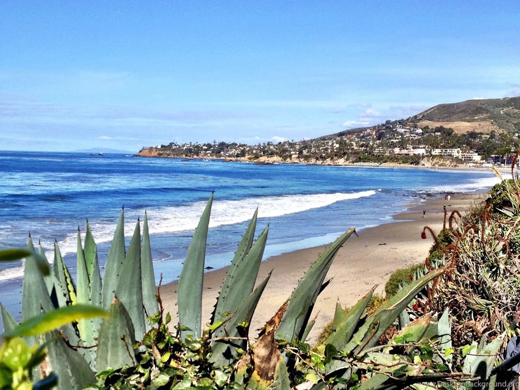 The Official Laguna Beach Blog: 5 Ways To Tour Laguna Beach; Five ...