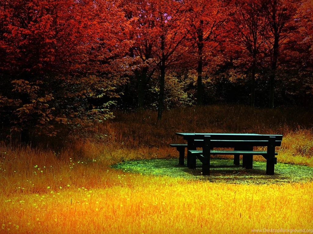 Nature Trees Wallpapers