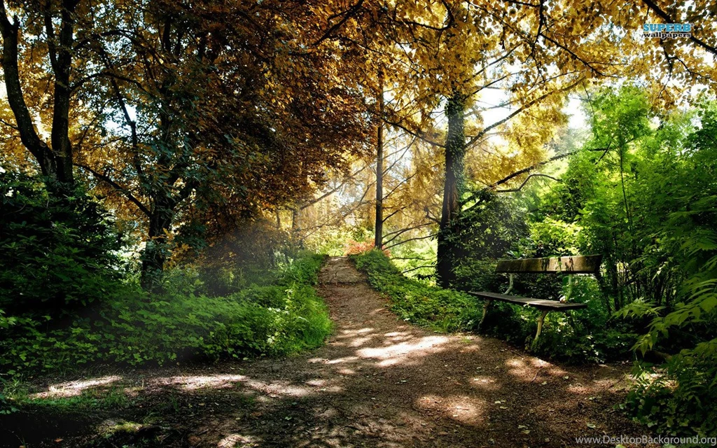 Venice Wallpapers Collection (42+)