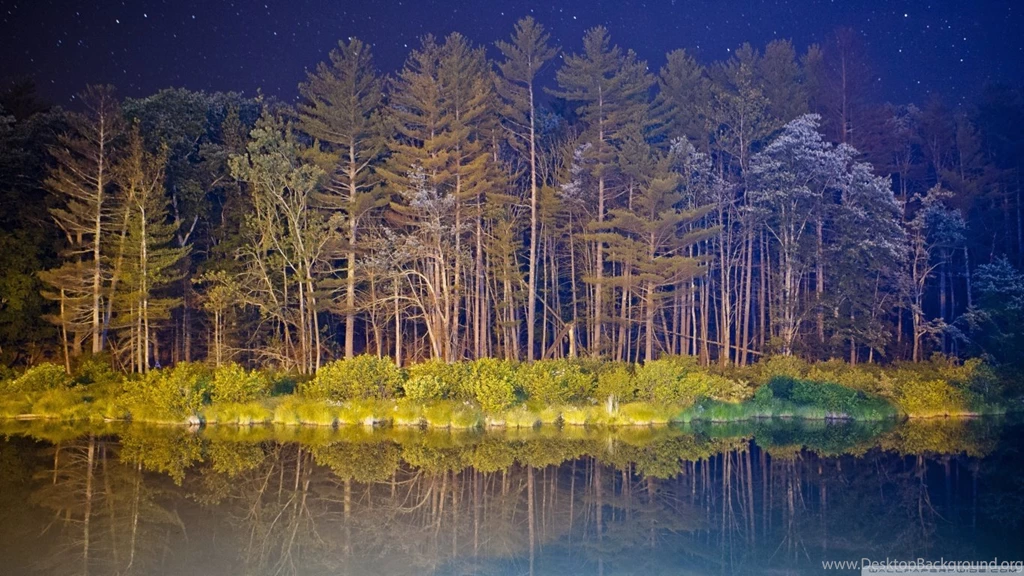 Dark Woods HD Desktop Wallpapers : High Definition : Mobile : Dual ...