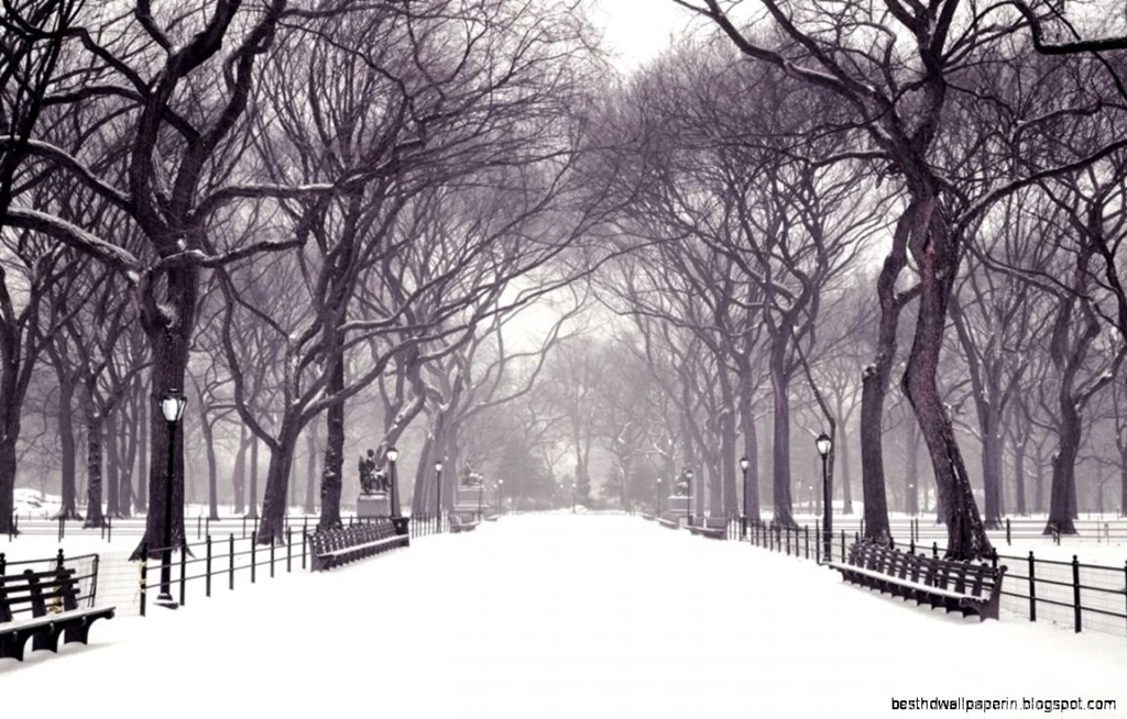 High Resolution Wallpapers Widescreen Winter