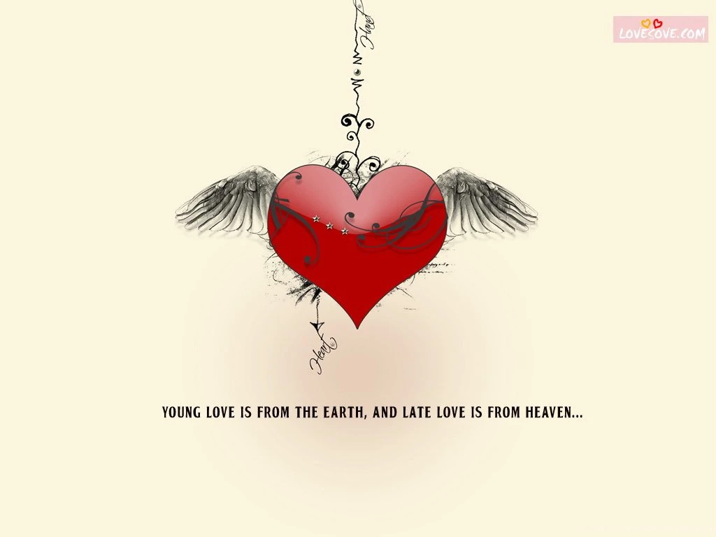 Relation msg wallpapers