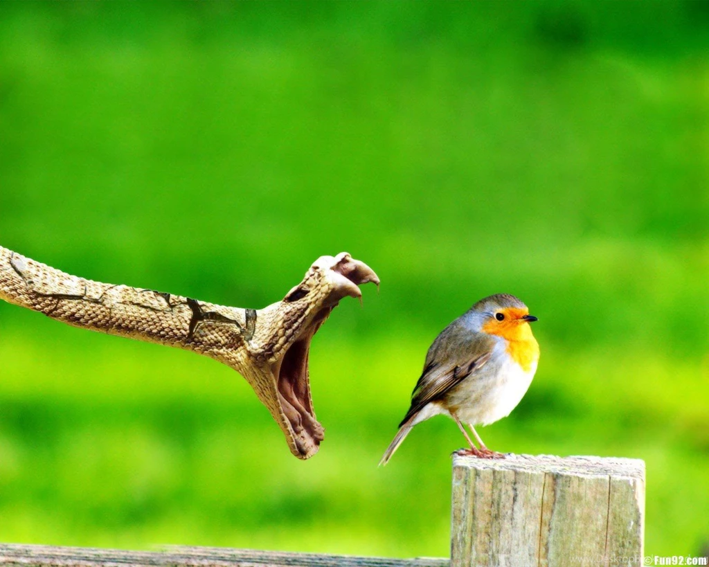 Dangerous Wallpapers HD Wallpapers