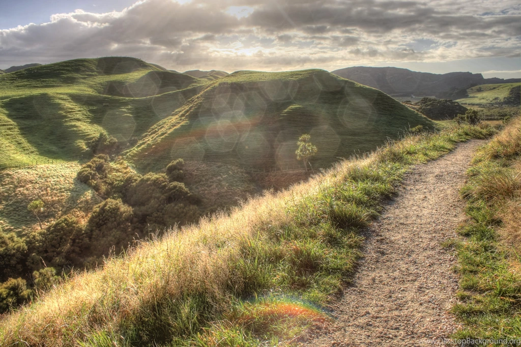 Road To Hobbiton By MarioAtaWhenua On DeviantArt