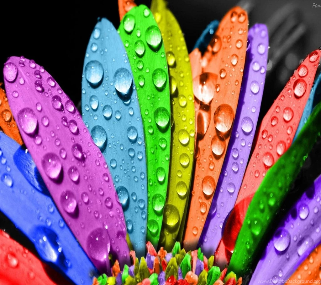 HD Wallpapers For Mobile HD Wallpaper Backgrounds Of Your Choice