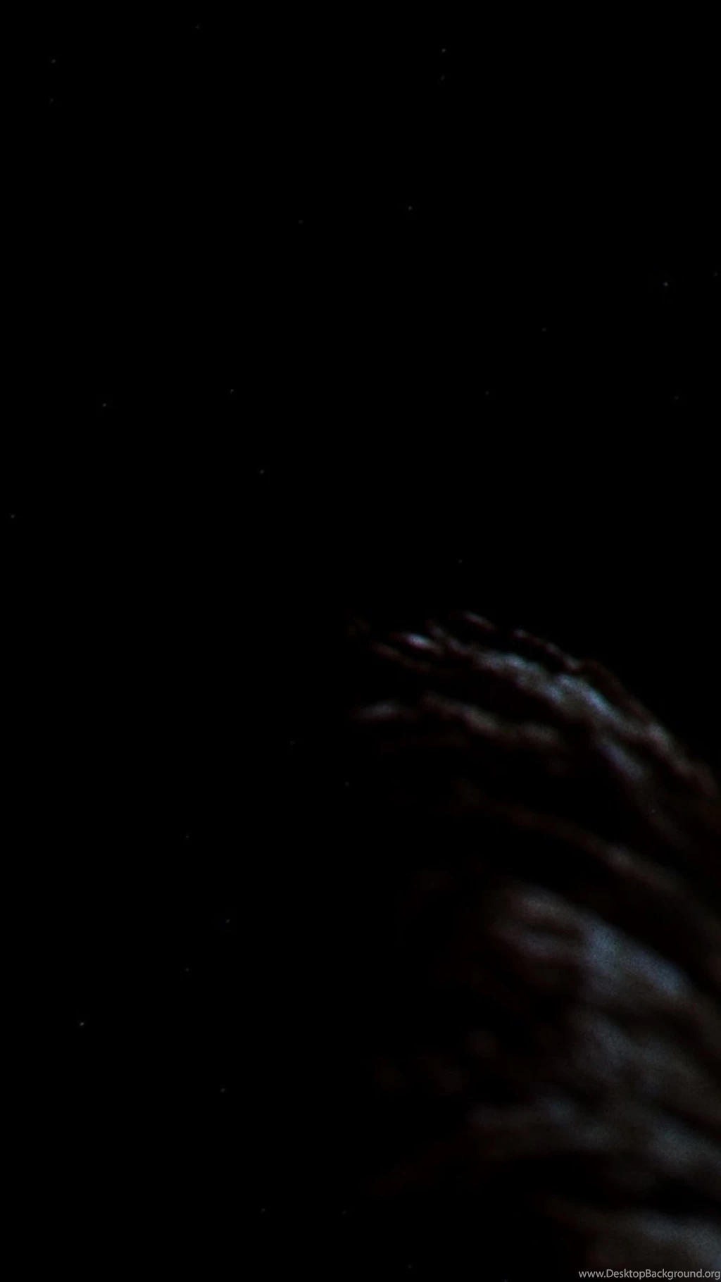 Dark Souls iPhone 5 Wallpapers