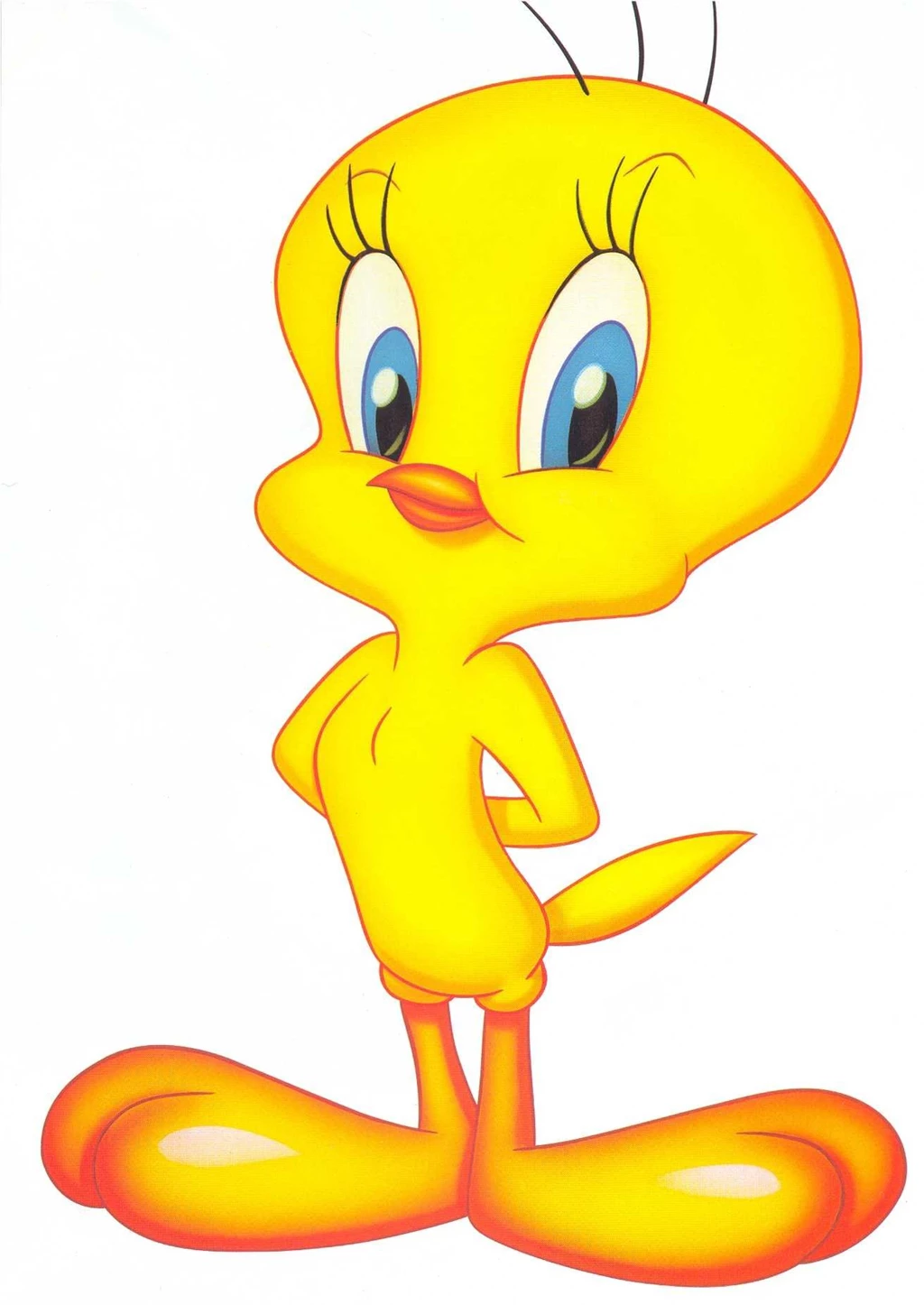 Tweety Bird HD Wallpapers 6JT WALLEO.CO WALLEO.CO
