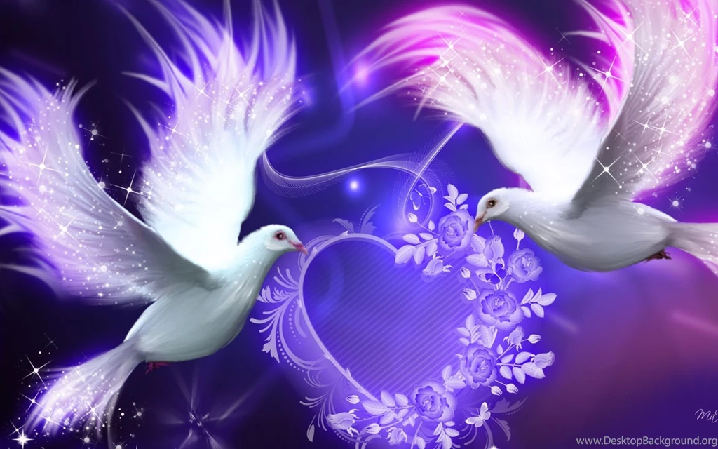 Dove Wallpapers Wallpapers Cave