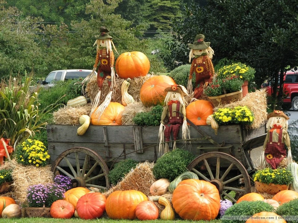 Autumn Display : Scarecrow & Pumpkins Wallpapers .pumpkins ...