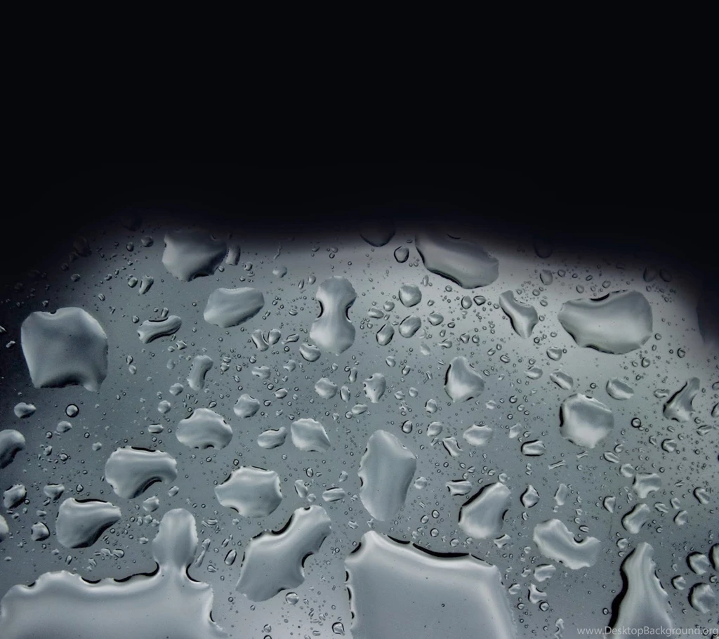 WALLPAPERS   Gothic, Skulls, Death, Fantasy, Erotic And Animals ...