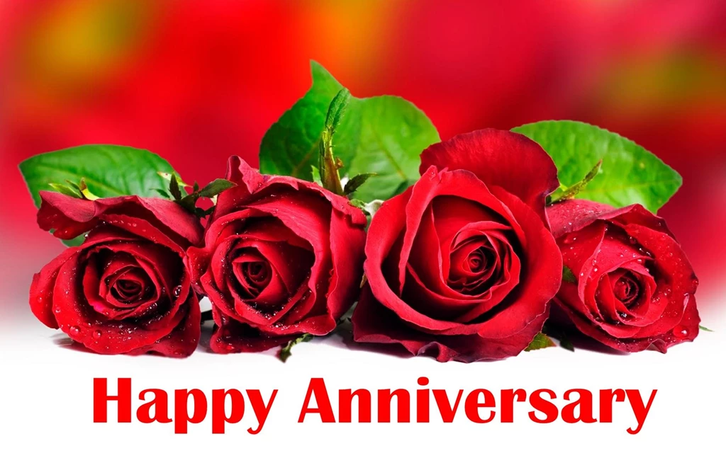 Happy Anniversary Red Roses Wallpapers