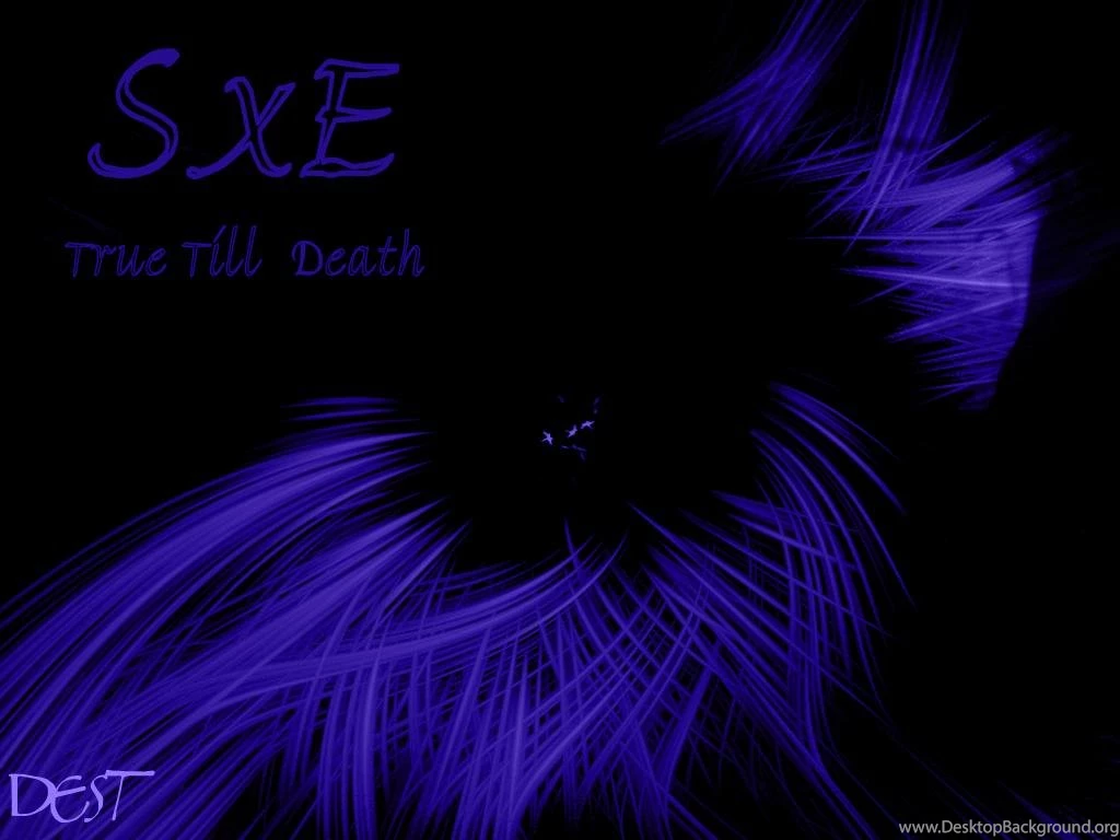 Browsing Dark On DeviantArt