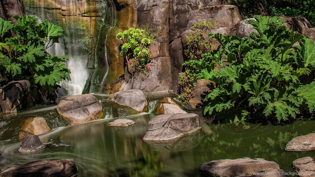 Beautiful Natural Beauty Photography HD Wallpapers ...