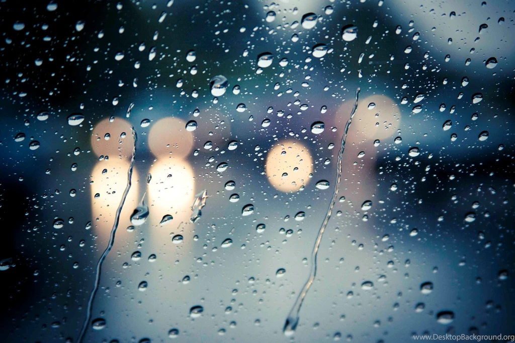 Day 148: Rainy Day