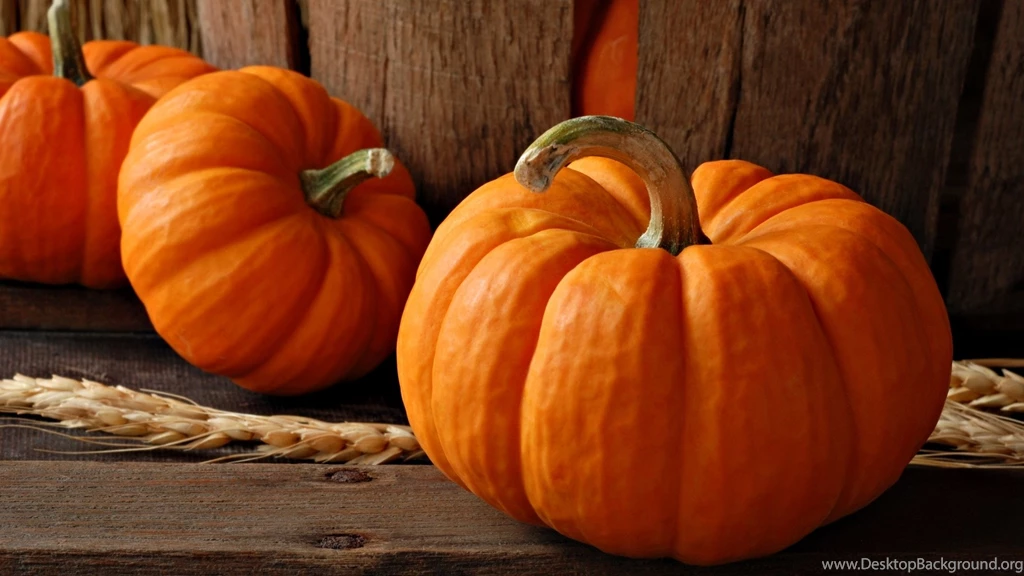 Pumpkin Wallpapers