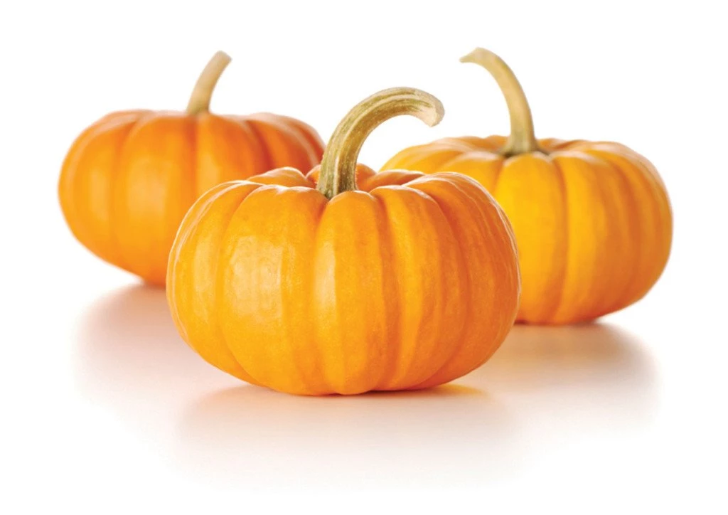 Pumpkin Wallpapers