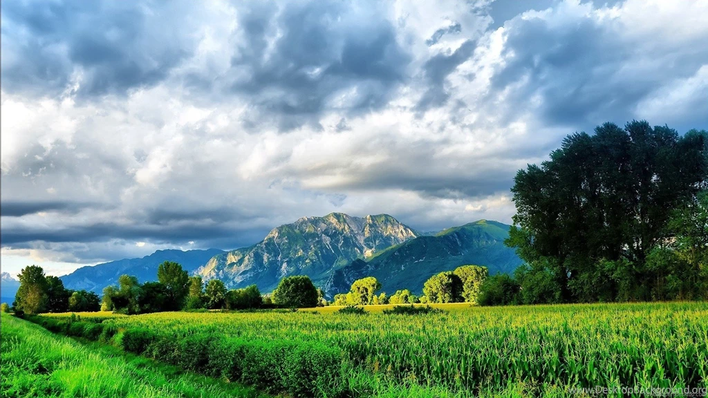 Beautiful Nature Hd Wallpapers 1080p Hd Wallpapers