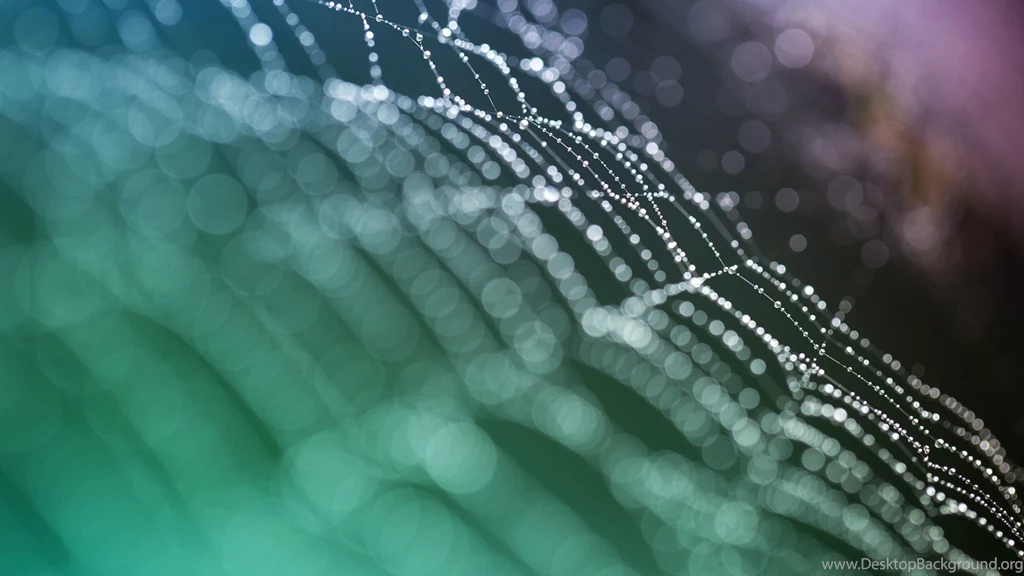 Full HD Macro Wallpapers 1920x1080, Desktop Backgrounds HD 1080p