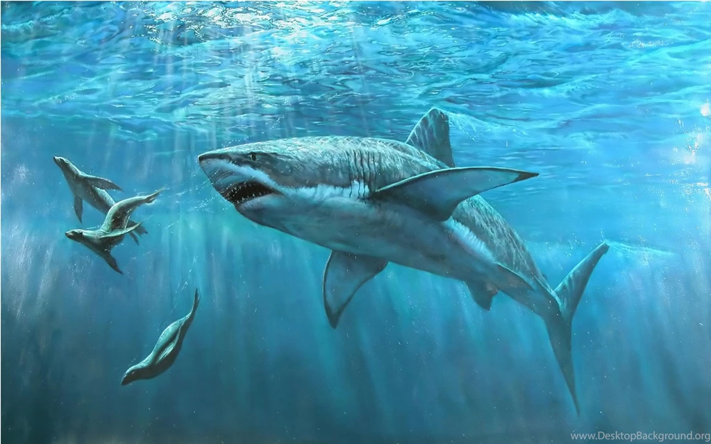Megalodon Wallpapers HD Uncalke.com