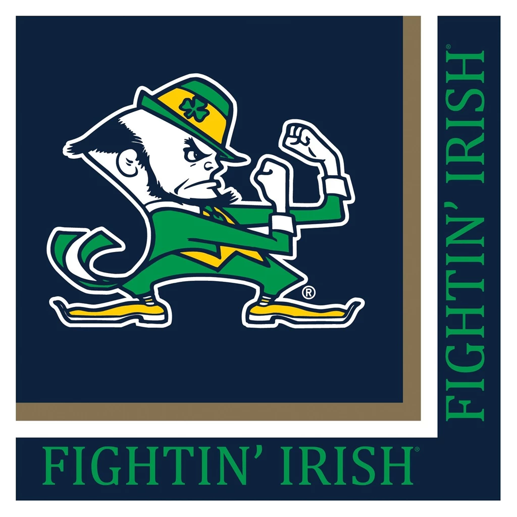 Irish Quotes Fight. QuotesGram