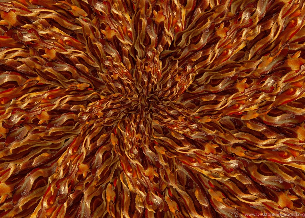 Bacon [Archive]   TheologyWeb Campus