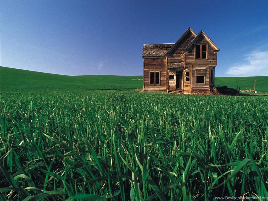 Pic New Posts: Wallpapers In House
