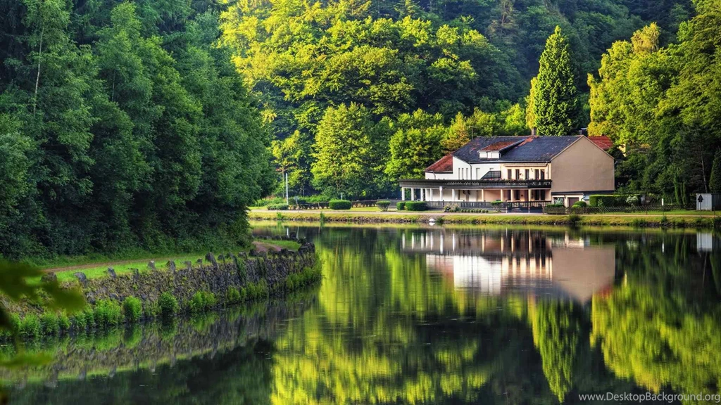 Forest House HD Wallpapers ~ Toptenpack.com