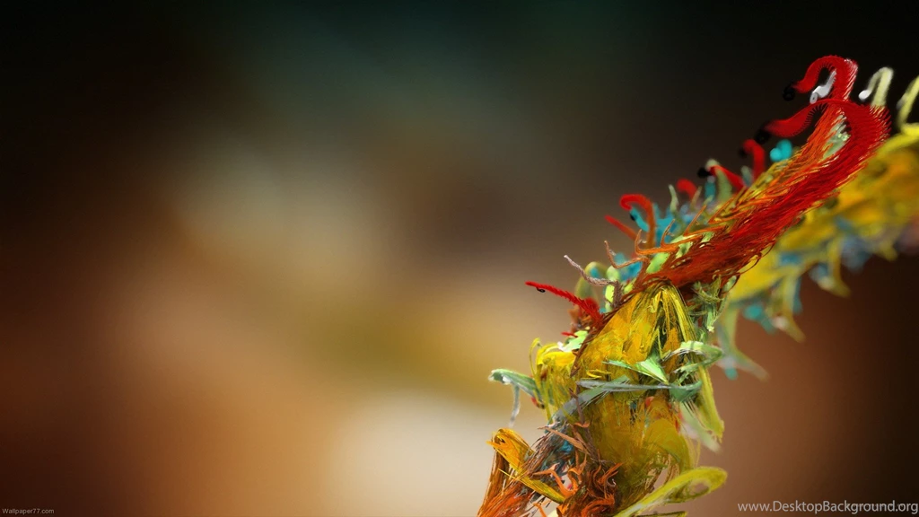 Micro Plant, 1920x1080 Pixels : Wallpapers Tagged 3 Dimensional ...