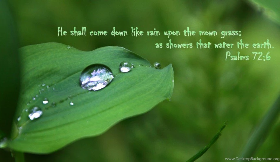 Bible Verses Wallpapers