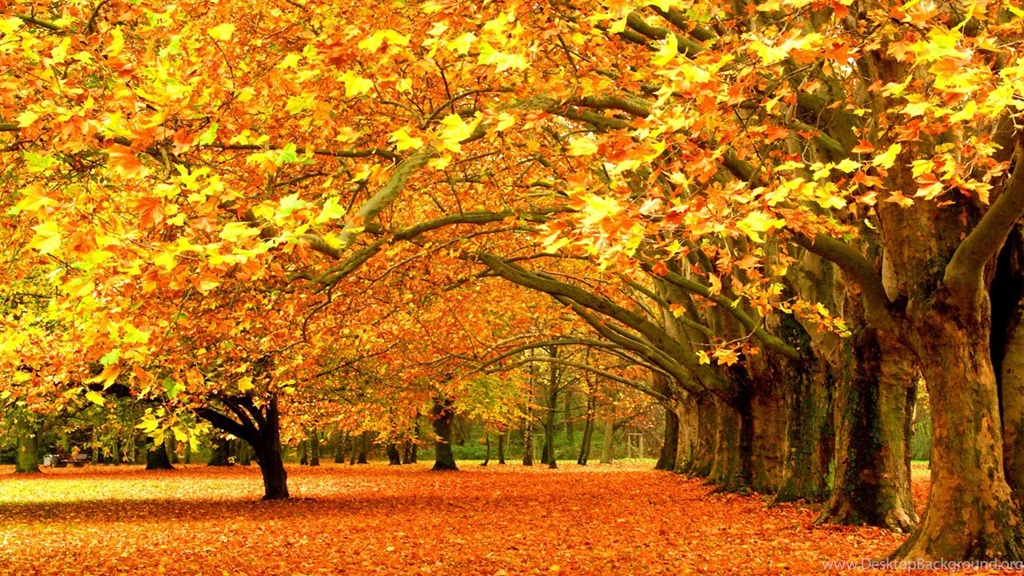 Autumn Wallpapers Widescreen