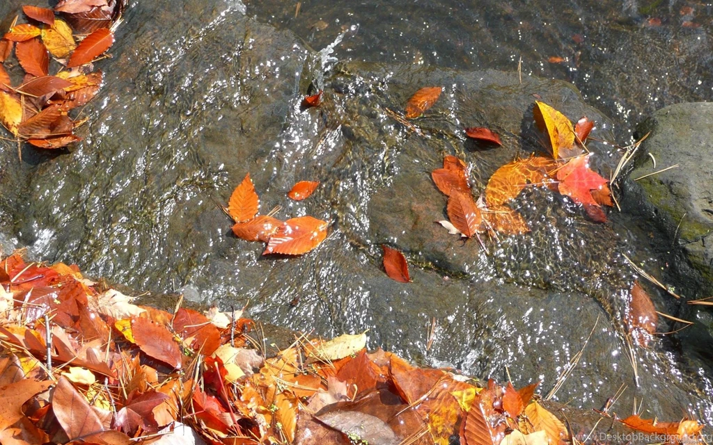 Waterfall, Leaves, Widescreen, Background, Autumn, Wallpapers ...