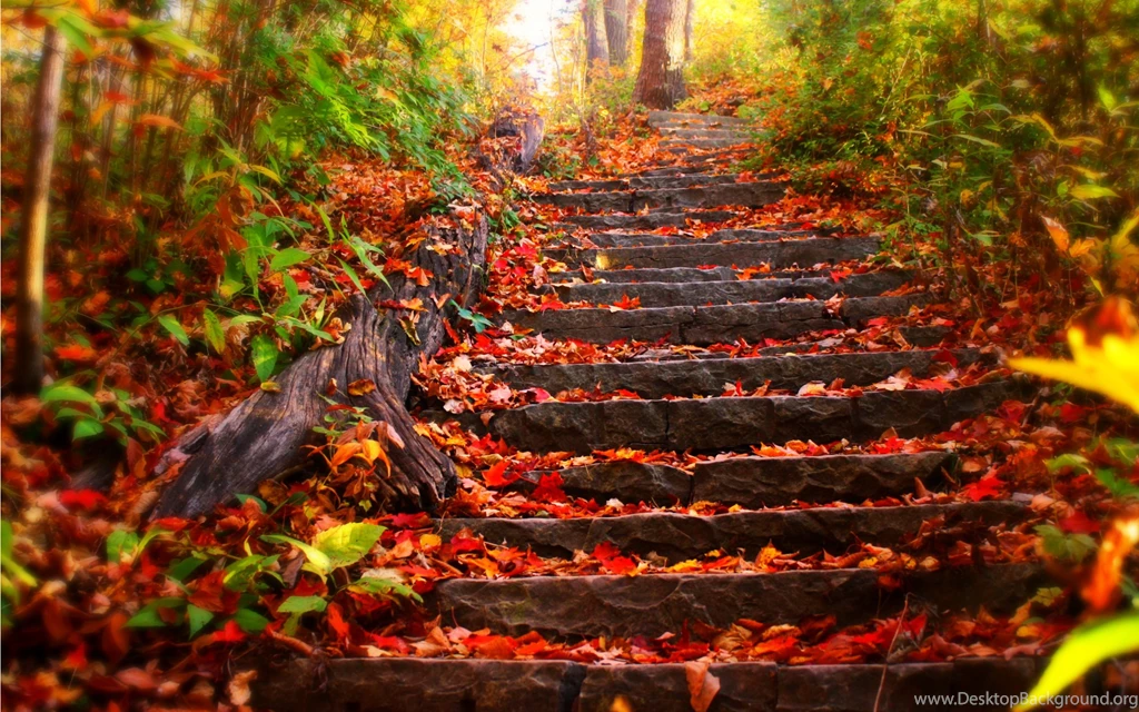Autumn Sunset Wallpapers Widescreen