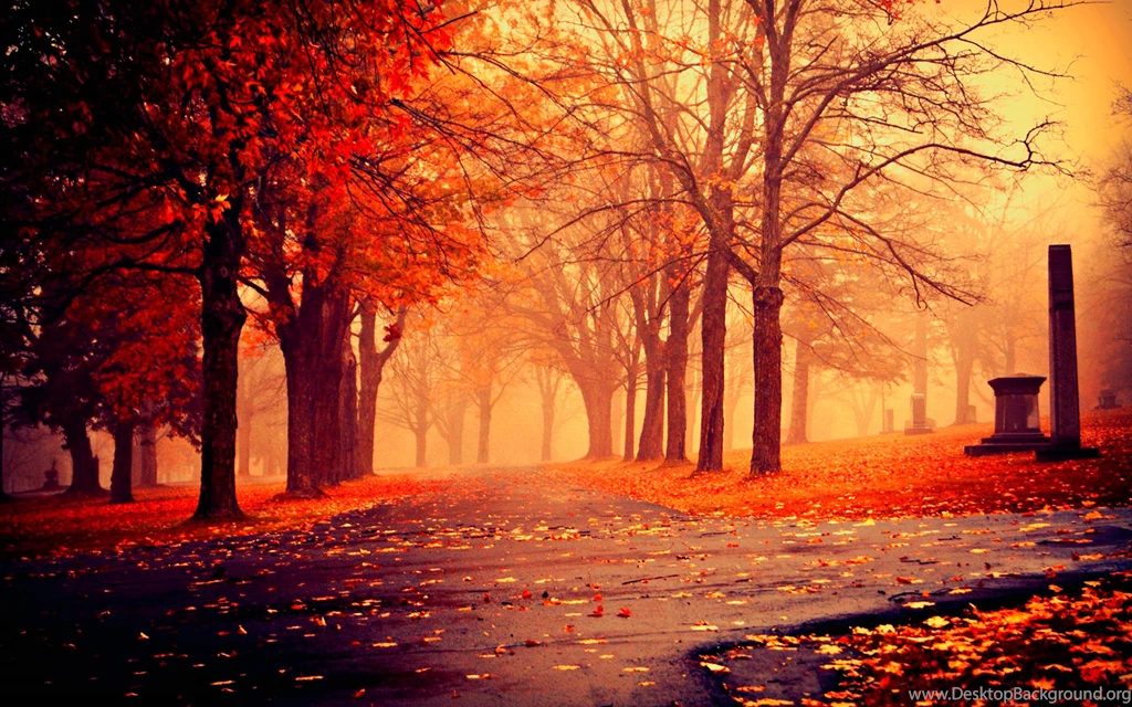 Autumn Wallpapers Widescreen High Definition Fullwidehd.com