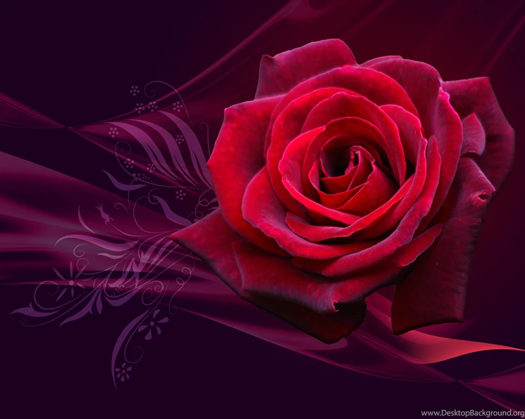 Best Rose Ever For Valentine Day Wishes 1080p Desktop Backgrounds ...