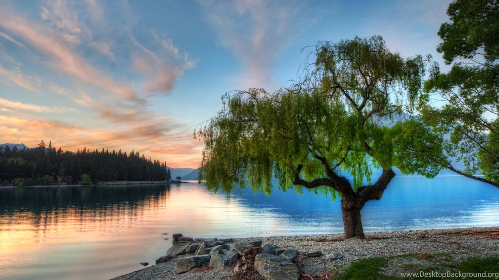Serene Backgrounds