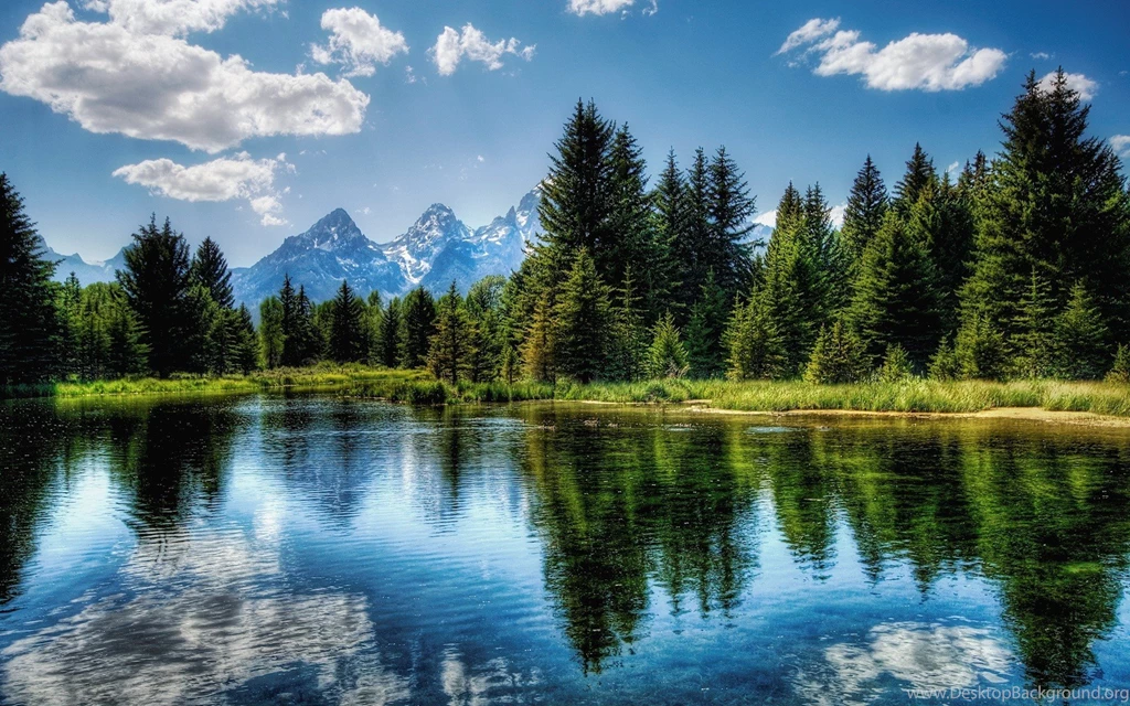 Serene Backgrounds