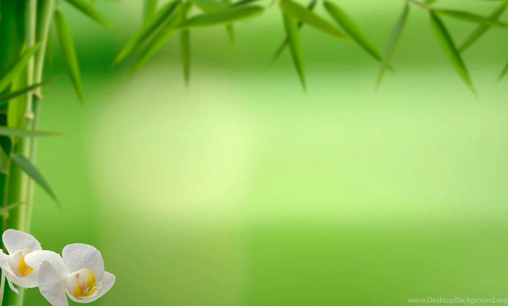 Vancouver Registered Massage Therapist Services