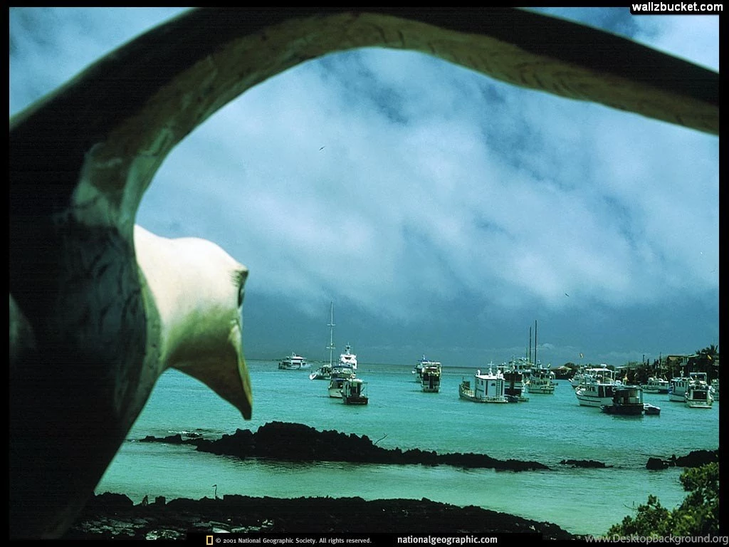 15965) National Geographic Widescreen Desktop Wallpapers WalOps.com