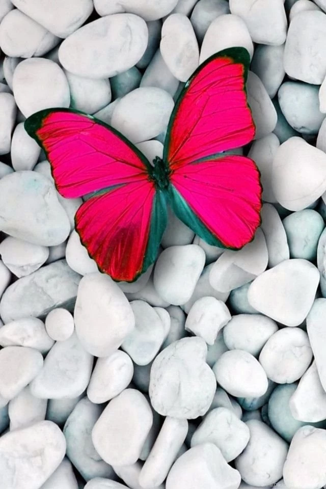 640x960 Hot Wallpapers For Phone Download   16   640x960   Hot ...