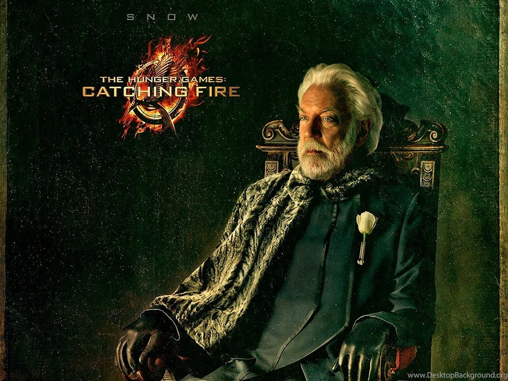 The Hunger Games: Catching Fire Computer Wallpapers, Desktop ...