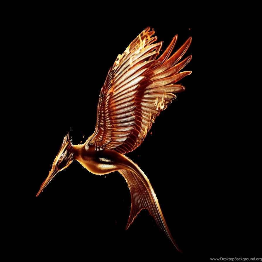 Catching Fire Movie Logo Transparent(Without Ring) By ...